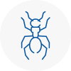 Ant Removals In Hay On Wye