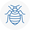 Bed Bug Extermination In Hay On Wye
