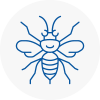 Hay On Wye Hornet Nest Removals