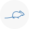 Mice Exterminators In Hay On Wye