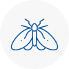 Moth Control Specialists In Hay On Wye